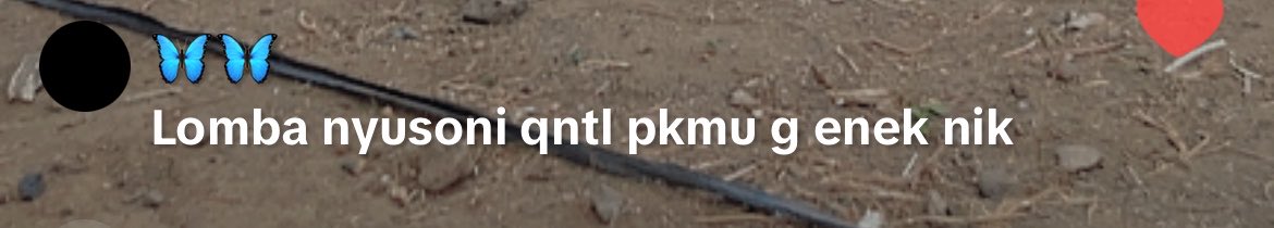 AnikAnggraini3's tweet photo. Hallo kak, minta tolong buat cek lokasi/data akun tikktok bisa ga ya??? urgent banget soalnya nerornya sangat tidak pantassssss. tolong di respon, soalnya bawa2 alm. bapak saya padahal lg live di akun kartar🙏

#viralㅤㅤ #teror #hackakun https://t.co/SO9ovUeon9
