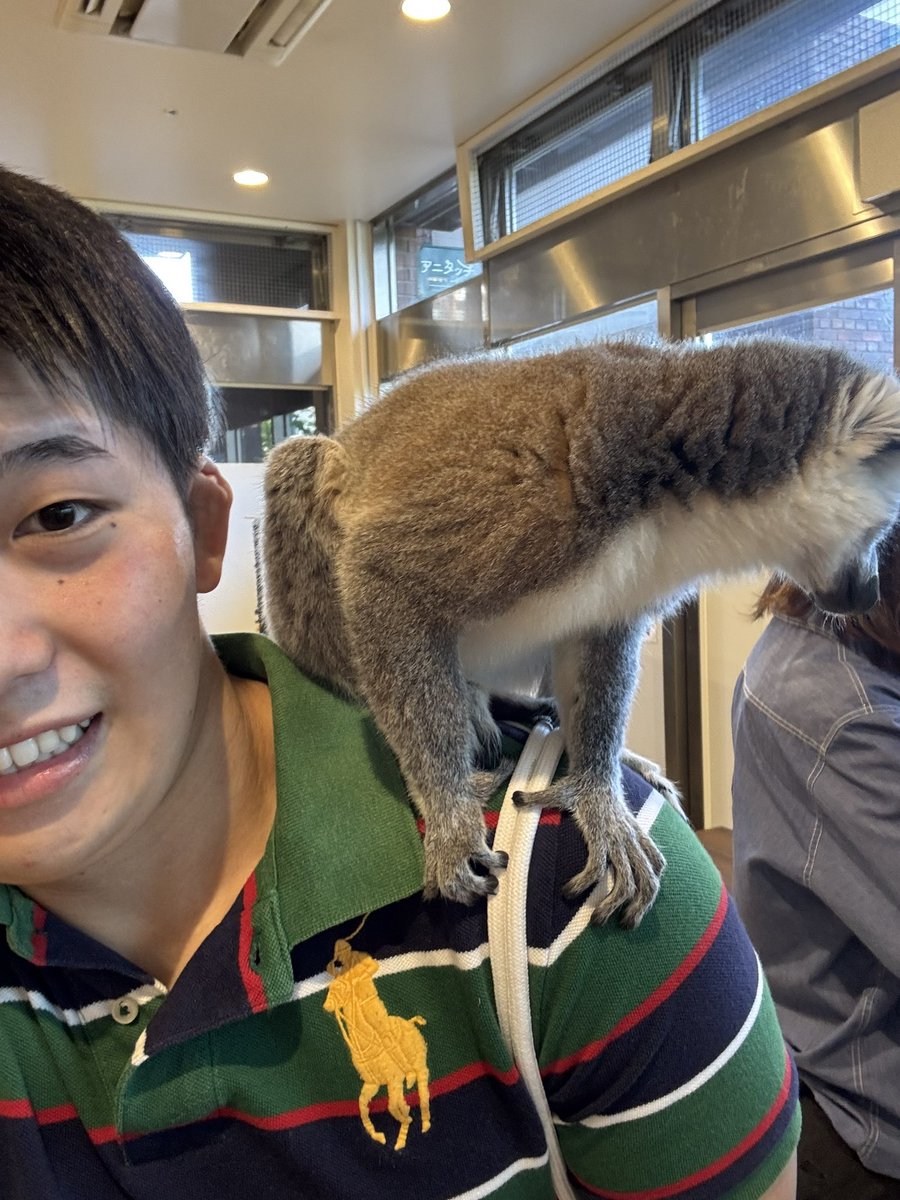GapanC's tweet photo. おはようございます☁️

🍀こまCP
🍀いぶき
🍀ゆう
🍀らいと
🍀ふう

本日もご来店お待ちしております🥰
従業員も募集しているので興味がある方DM待ってます😀💓

🏠 新宿2丁目12-15M&amp;Tビル2 https://t.co/gIZu3DhhYe
