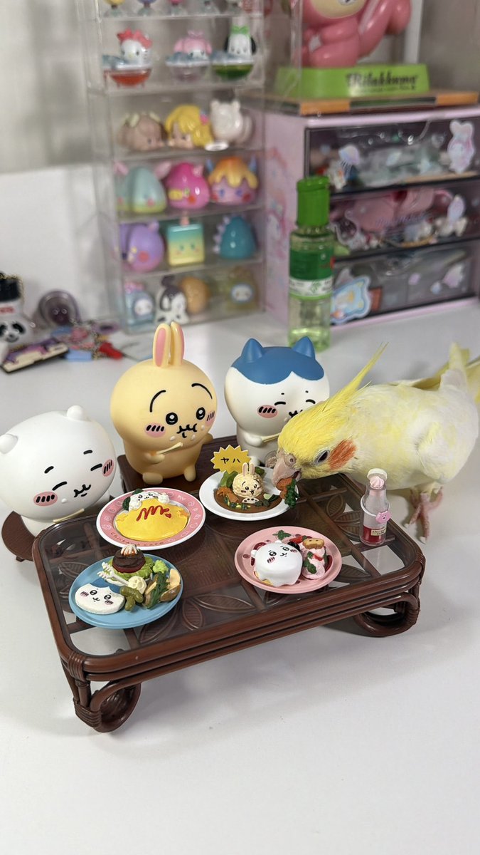 kawaiichichu's tweet photo. Ikut campur banget burung aku mau ikut makan sama chiikawa n frens😭 https://t.co/mELuicKueZ