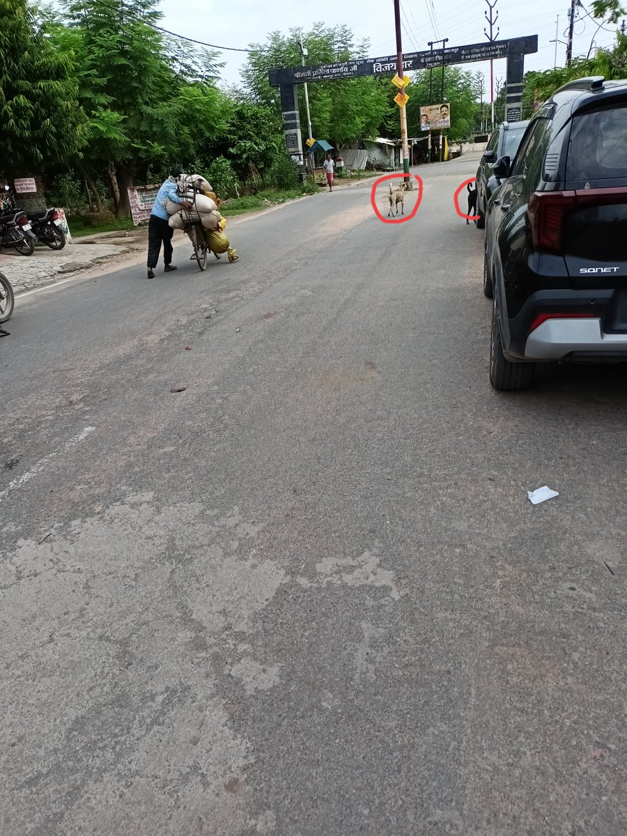 MahaveerT6's tweet photo. @BlkorWht_NoGrey @CNBCTV18Live @PMOIndia @narendramodi @nsitharaman @IncomeTaxIndia @ShivAroor Common people too ( जनता जनार्दन ) have got their part of luxury. Look at the images. Our security providers are not only black dogs, but white dogs as well. Elevated level of security. No cats, I mean  no black cats. Every one hundred metres you get such heightened security. https://t.co/tRQsxITFou