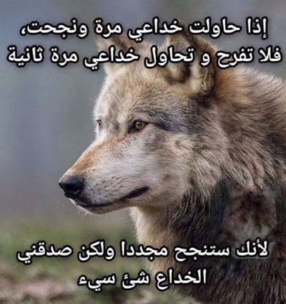 slyver117's tweet photo. @Forca_Fcb اتليتكو : https://t.co/8YF074uq8i