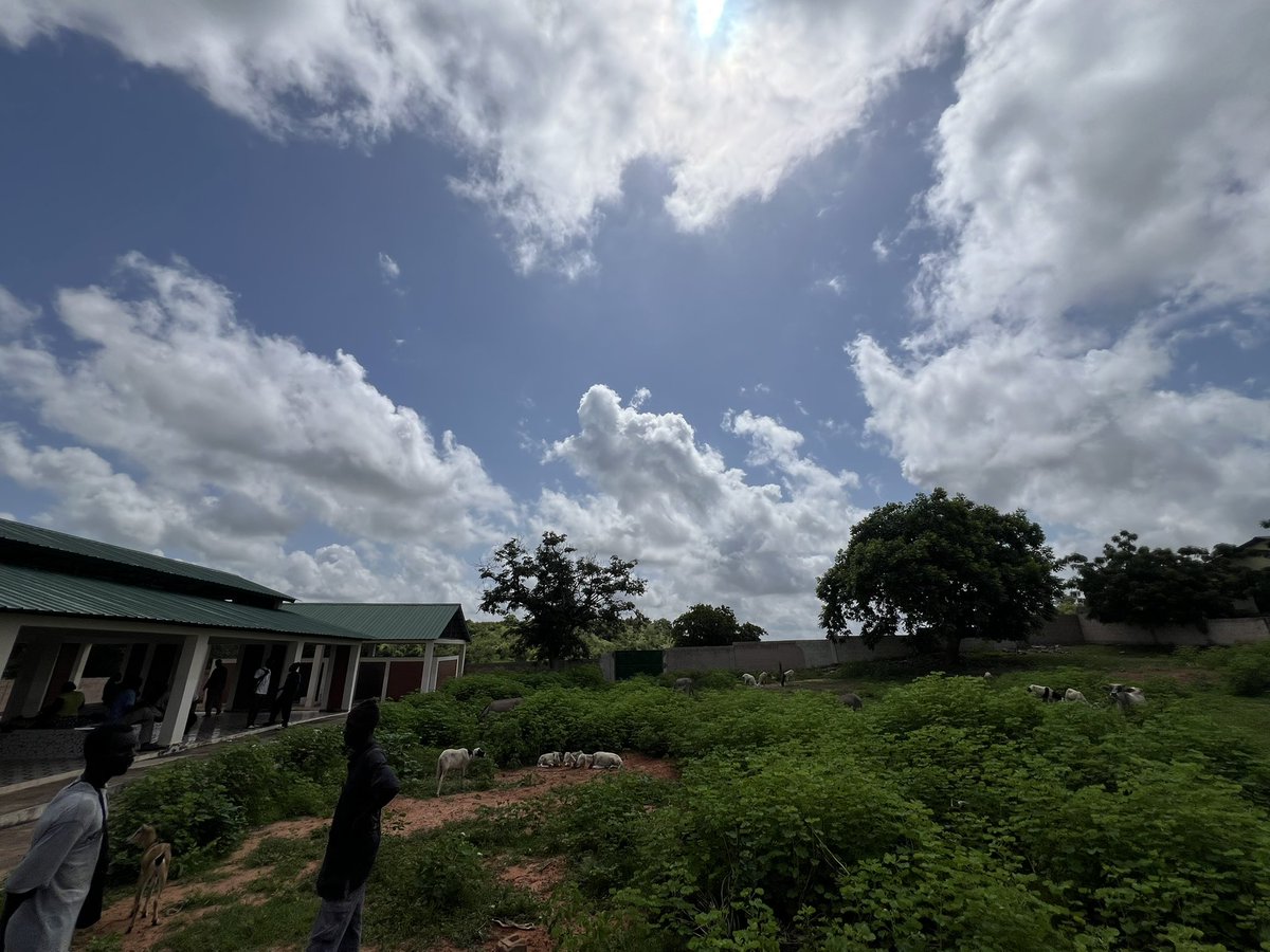 DxrkStats's tweet photo. Just met BABY PENDU.
#DxrkSideQuests
๐KAUR, CRR - The Gambia https://t.co/C0PZZY174A