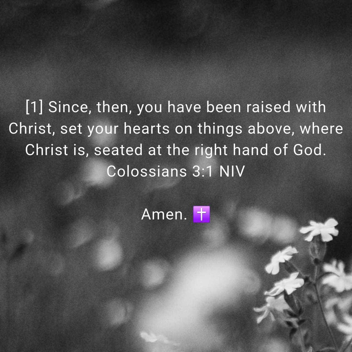 TheGusto1965's tweet photo. Colossians 3:1 NIV 🙏🏾 https://t.co/ORLhp7HYyW
