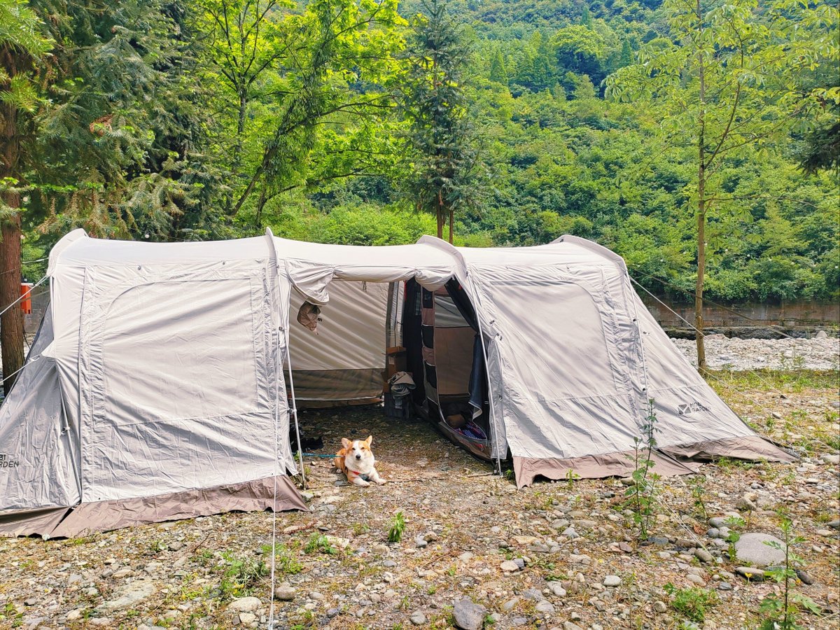 cryaj268598's tweet photo. Just finished a weekend camp under the stars—crunchy pine walks, s’mores that melted just right, and silence so pure it made my phone feel like a foreign object. Best reset I’ve had all year!， https://t.co/8v2Ep98MzK