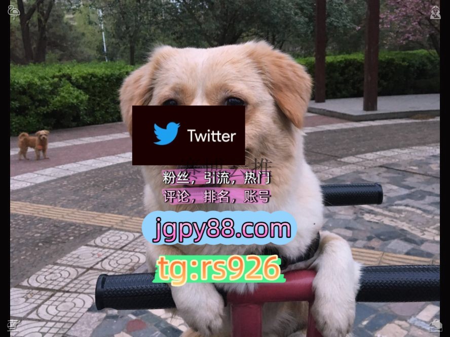 NoonninZozo1's tweet photo. Focus turns dreams into real results.
软件获客、海外推广、流量增长自动脚本外🪀facebook海外流量、品牌推广、社媒营销
推特矩阵系统、Twitter矩阵系统、X矩阵系统推特账号注册号哈尔滨
粉丝号推广围547825排名号
世界杯开门代发绍兴   🌶客.服看→资.料
推特软件instagram✊ https://t.co/ZxfOIKcQ2O