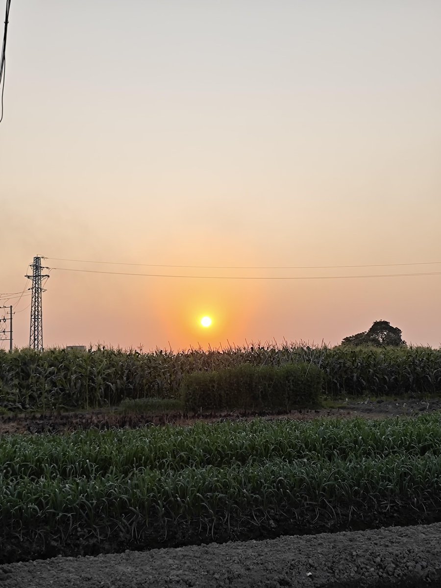 aleld629838's tweet photo. New to photography Start with mastering natural light—shooting during golden hour (1hr after sunrise/1hr before sunset) turns simple scenes into warm, stunning shots. No fancy gear needed, just your phone! https://t.co/hMxPo3wYMp