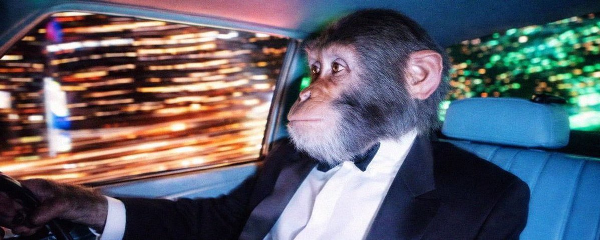 RobSterr_eth's tweet photo. @Crypton_on_x Heard OG always wins. Lets see. 

MONKBIZ TIME.

https://t.co/vtrAtcnKfH https://t.co/jkWqGxRiwI