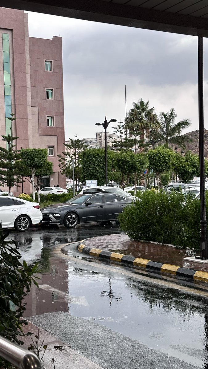 iiveou's tweet photo. عم تشتييي🤍🥹 https://t.co/SG2Roq9zlZ