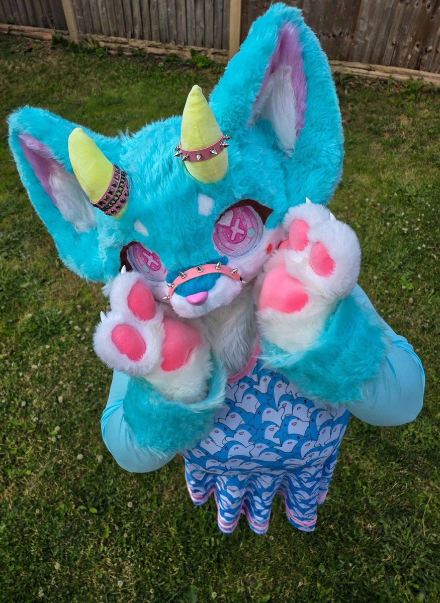 bubblesharkcat's tweet photo. Thank you for 1k followers 

#furryfyp #fursuit #furry #furryfandom #furrycommunity https://t.co/mLW6ecSFnU