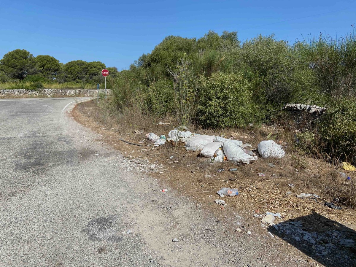 PereFraga's tweet photo. A Menorca, voreres de carreteres, camins i aparcaments són plens de sunya com mai, qualcuns són un atzar. Un senyal més de degradació ambiental per mor de la massificació turística i la claudicació del @ConsellMenorca, com també ho ha fet de la gestió dels recursos hídrics. https://t.co/HUeCtJBfzH