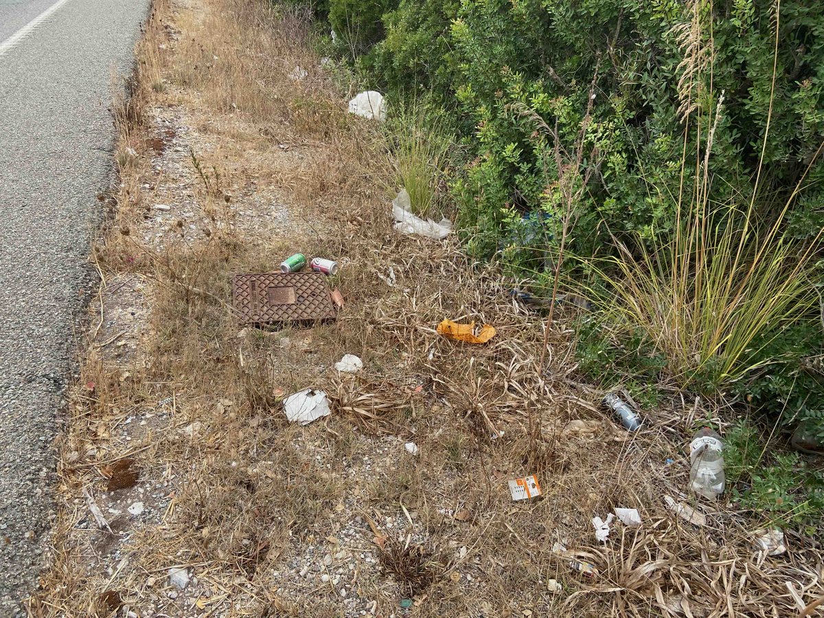 PereFraga's tweet photo. A Menorca, voreres de carreteres, camins i aparcaments són plens de sunya com mai, qualcuns són un atzar. Un senyal més de degradació ambiental per mor de la massificació turística i la claudicació del @ConsellMenorca, com també ho ha fet de la gestió dels recursos hídrics. https://t.co/HUeCtJBfzH