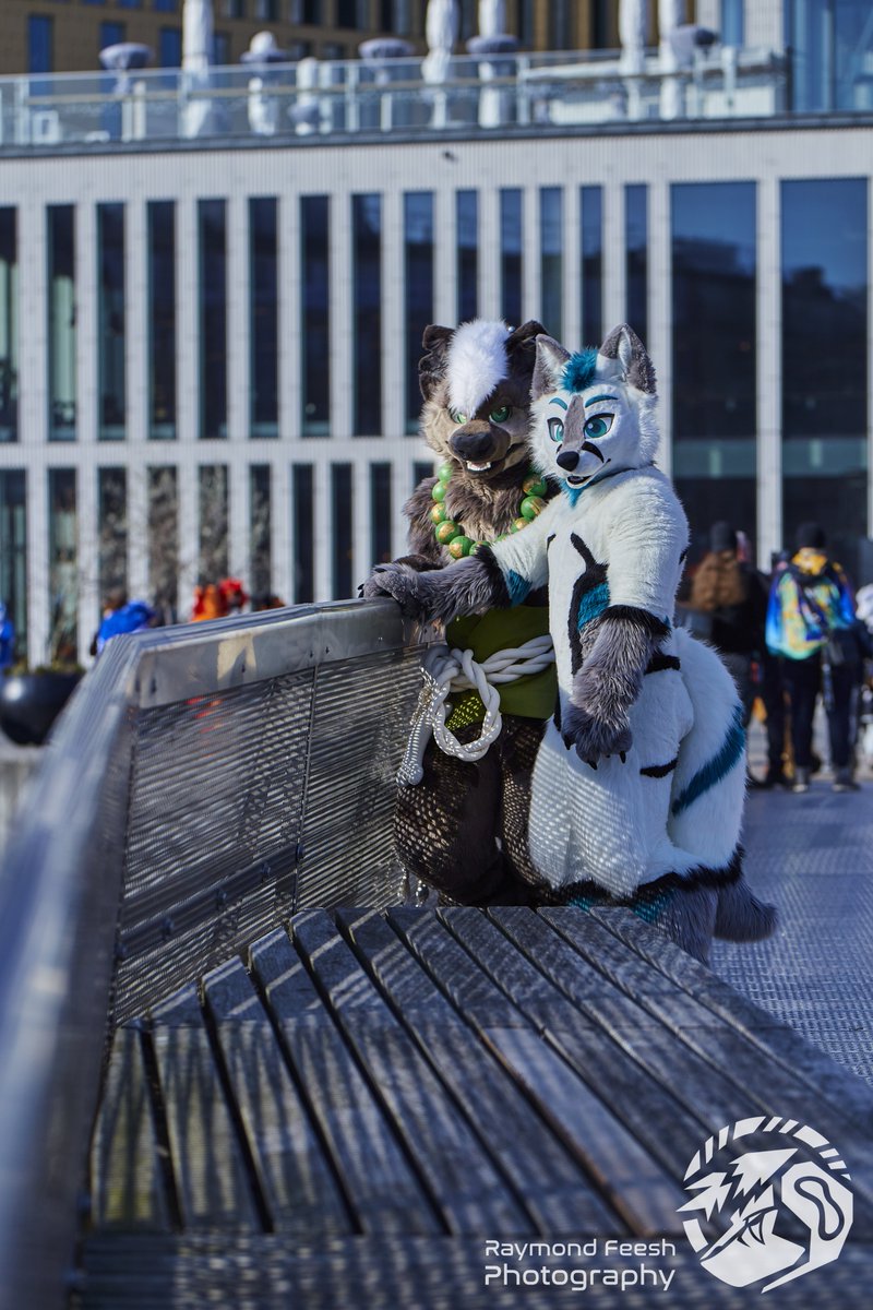 EspressoYeen's tweet photo. Happy birthday, @NinjaFox_DK 🤍

📸: @raymondfeesh

#fursuit #furry #hyena #fox #yeen #arcticfox #espressoyeen https://t.co/EZ3SMWkLBw