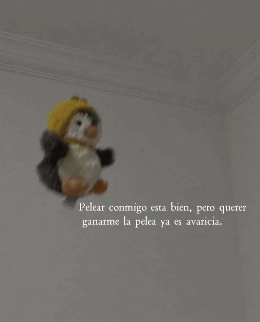 MundoDeBigotes's tweet photo. https://t.co/JFdymzO1db