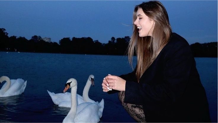 jackassrails's tweet photo. 🦢 https://t.co/GmxeivirYt