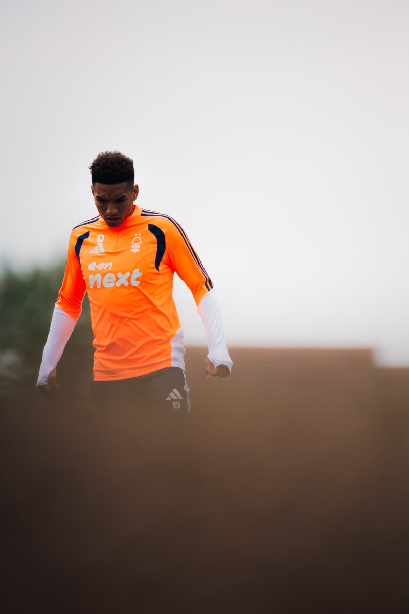 NFFC's tweet photo. Looking up. 📸 https://t.co/MTZ0wOywN5