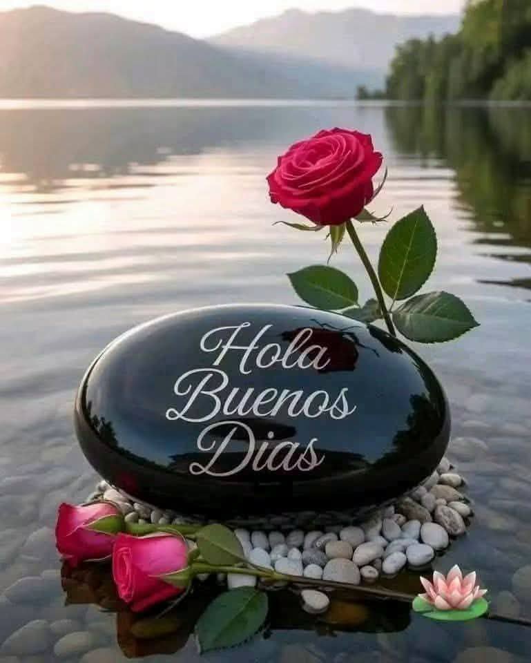 ZoilyRodriguez9's tweet photo. https://t.co/3Jl10D35fg