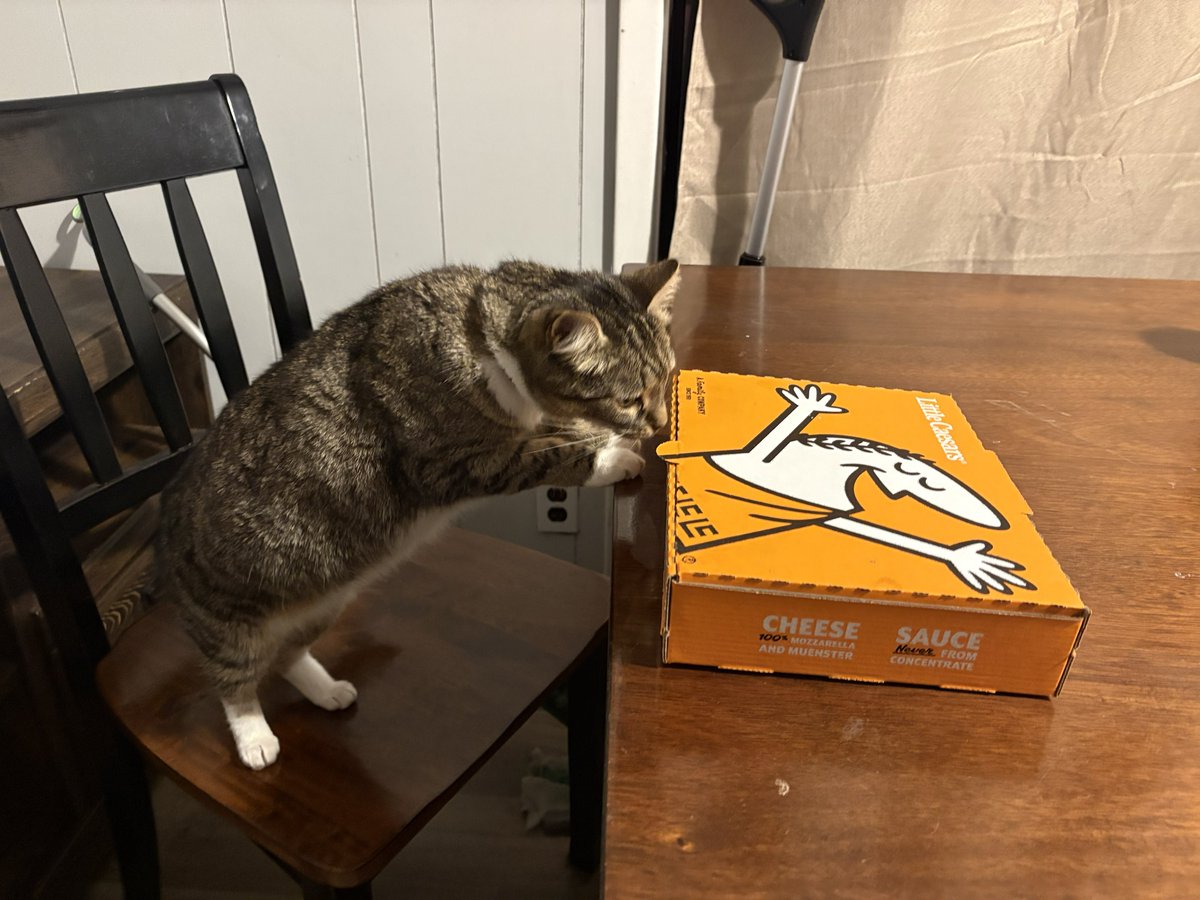 watDaRainy's tweet photo. @littlecaesars But of course… https://t.co/On9DiSnlPI