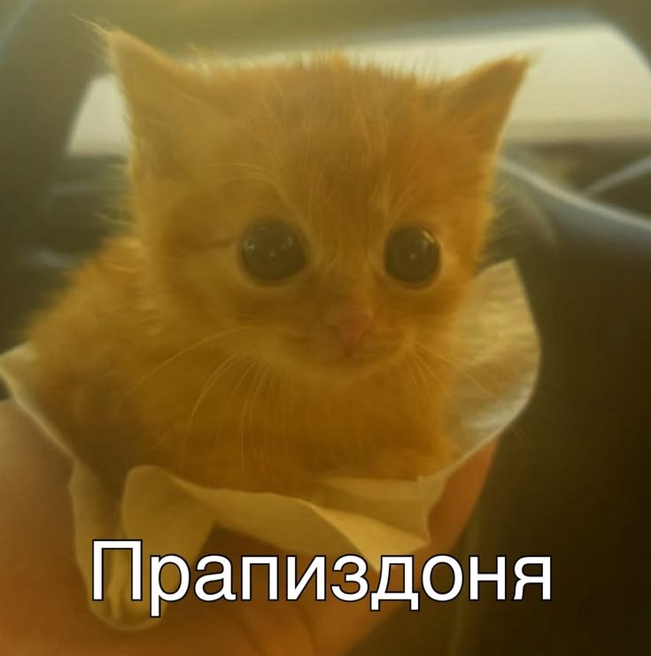 Motemerb's tweet photo. https://t.co/qEfVKpzRcY