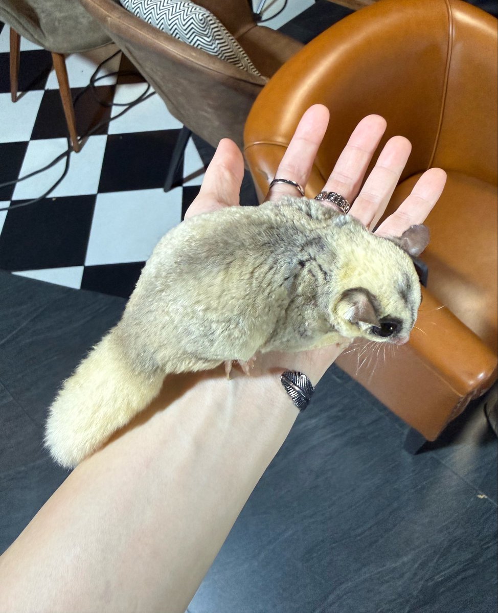 T_Aiemkumchai's tweet photo. สักตัวดีมั้ย ☺️ #PonThanapon https://t.co/QmDD2QWzyB