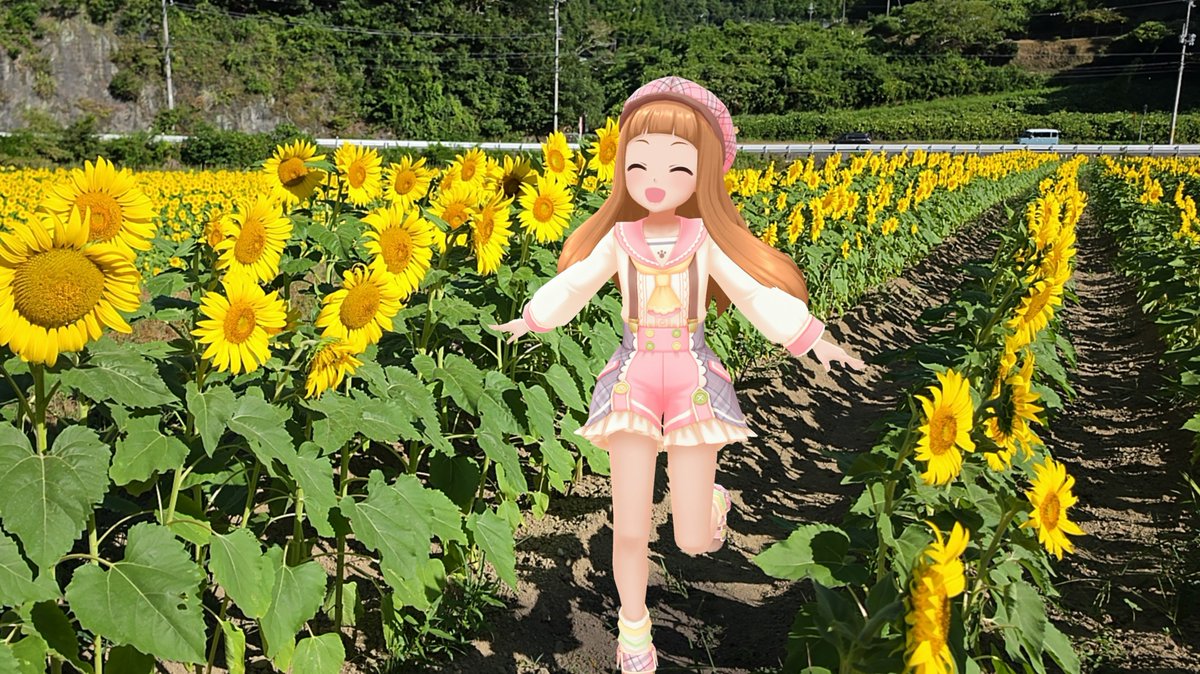 hasebe_nry's tweet photo. 佐用町の南光ひまわり畑で撮っていた仁奈ちゃんです🌻

ひまわりの種を頂いたので来年は自分でも咲かせたいですね✨️
#毎月27日は仁奈の日
#デレスポAR https://t.co/9NMwAGektF