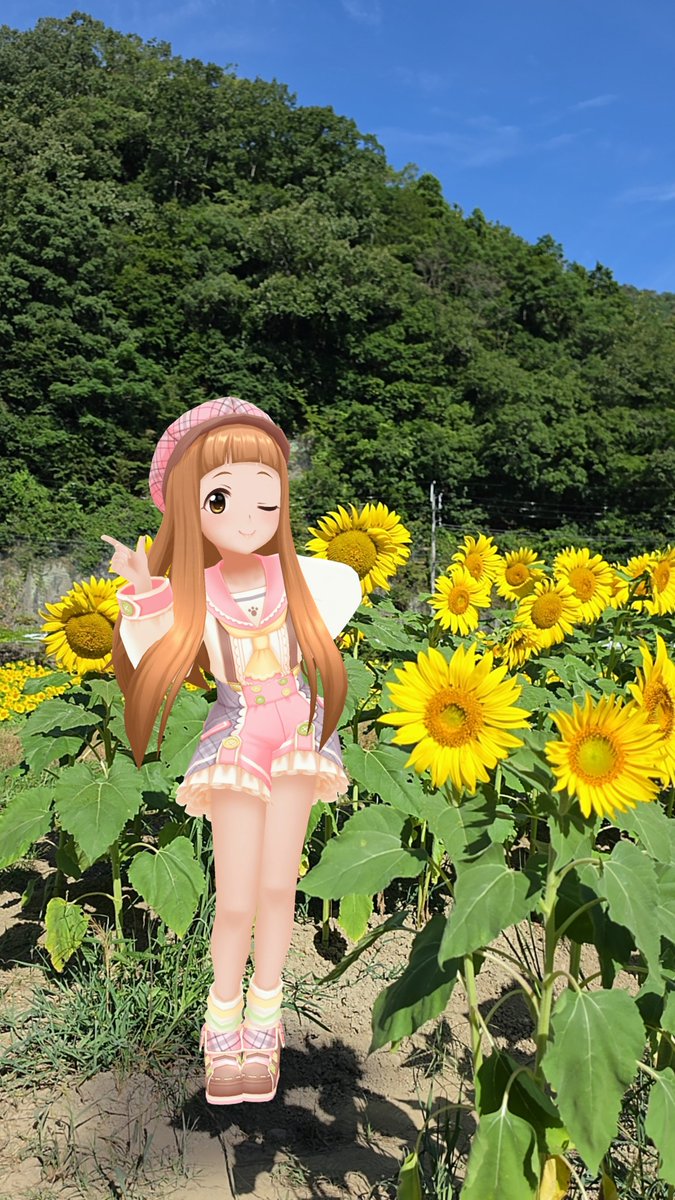 hasebe_nry's tweet photo. 佐用町の南光ひまわり畑で撮っていた仁奈ちゃんです🌻

ひまわりの種を頂いたので来年は自分でも咲かせたいですね✨️
#毎月27日は仁奈の日
#デレスポAR https://t.co/9NMwAGektF