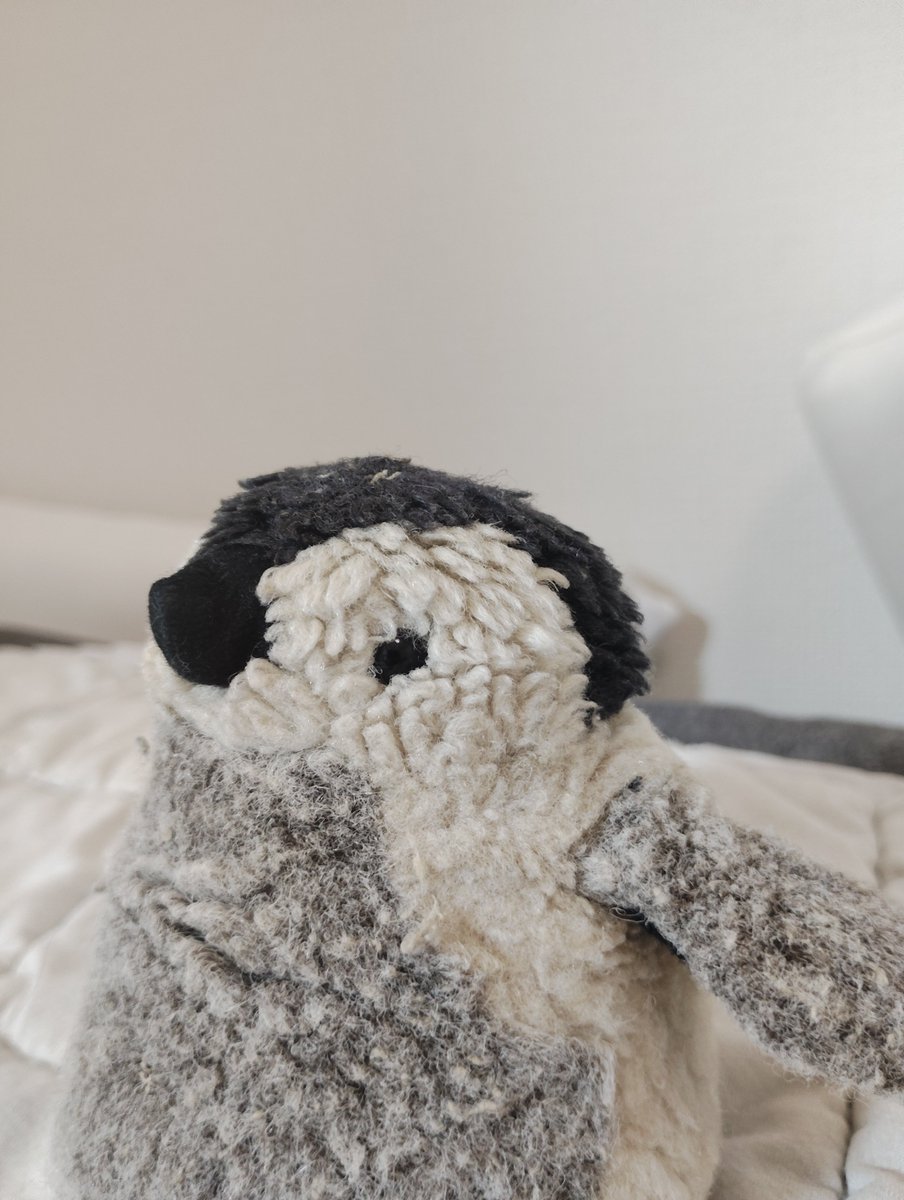 cumin_pipi's tweet photo. ピピは反省しないよ
いつもかわいいから
人間の反省につきあわされているんだよ https://t.co/gLt0xhYruA
