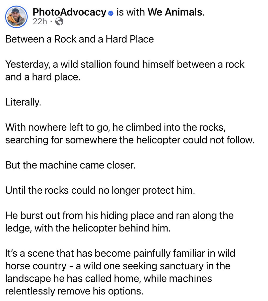 Blueequus775's tweet photo. Here’s an example of one of BLM’s “humane” roundups of wild horses. Does this look humane or safe to you? 
#wildhorses https://t.co/FPhmxnjm13