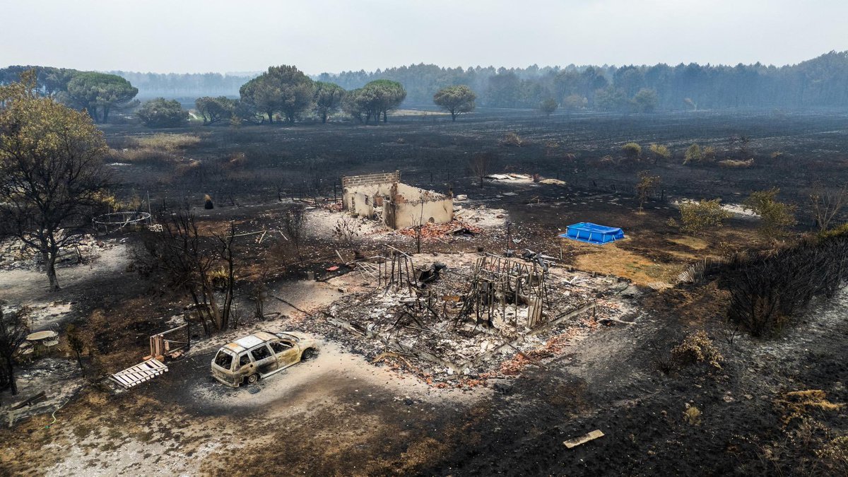 FranckLeGall13's tweet photo. Dis @EmmanuelMacron ton pote #MBS ... il n'aurait pas 2 ou 3 milliards en râble pour reconstruire #LePorge et #Pomas ?
(vu qu'apparemment la France est si pauvre que tu n'es pas capable de les trouver)
#ParcDragonBall https://t.co/g4Vq9vvB7F