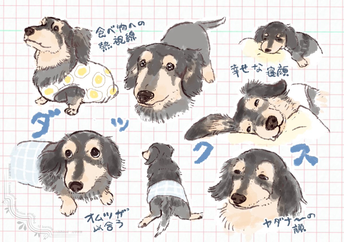 2inuinu's tweet photo. 犬の日　2days https://t.co/AOtyBlYBCG
