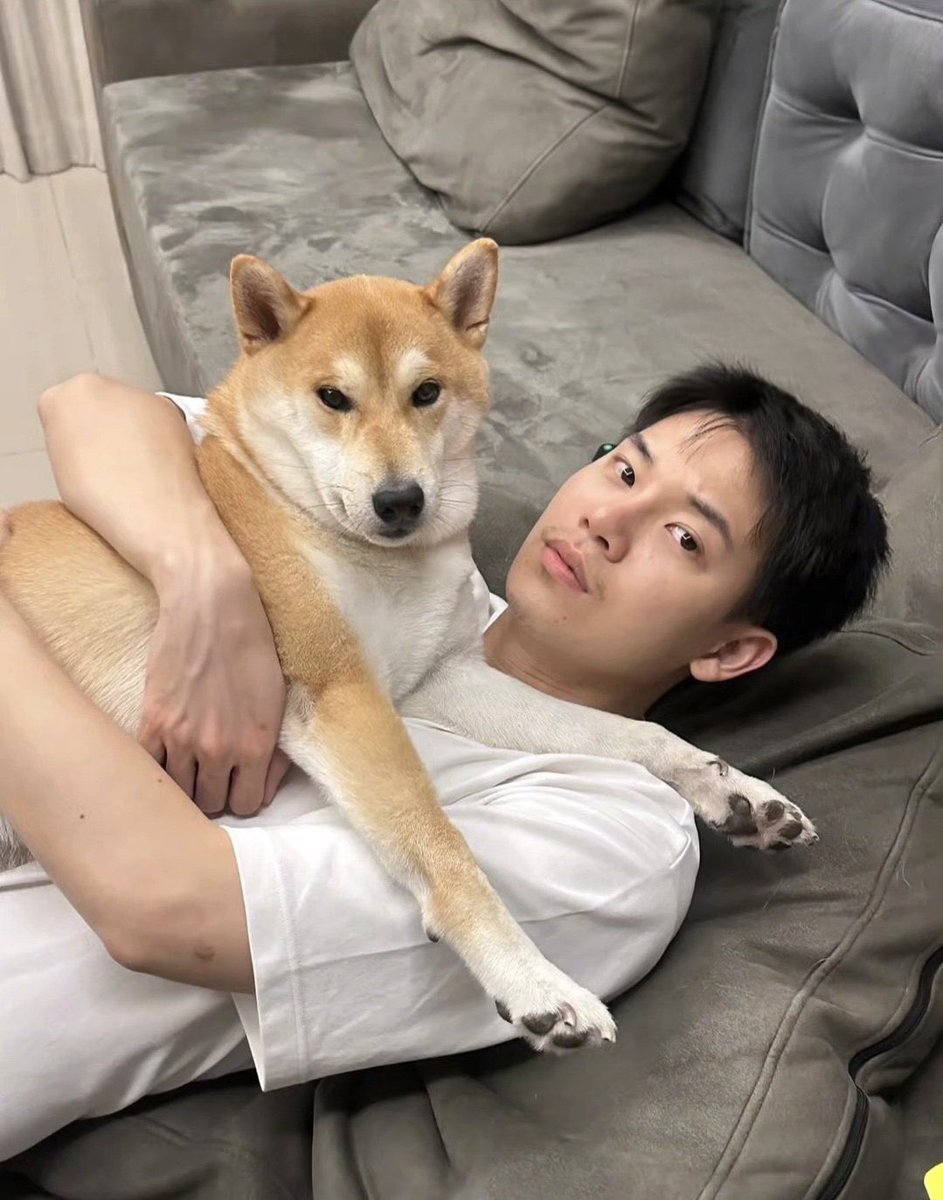 tanxthai's tweet photo. ชิบะม้าค vs ชิบะหยิ่น DNA มันอยู่บนหน้าปะ66555555556665555556655 https://t.co/I0WAaJEMYK