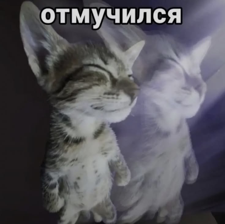 BlezerNiko's tweet photo. —все, с социализацией покончено до сентября. https://t.co/YHHtelfyRO