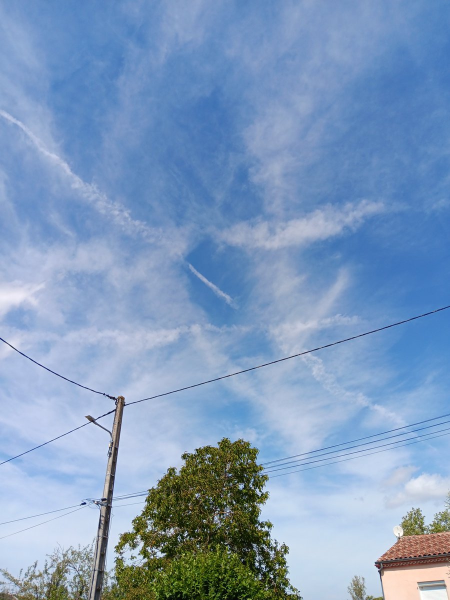 Rocky8174's tweet photo. @mylovechat Aujourd'hui, Tarn. Dissipation des nuages de pluie, mise en place d'un voile qui filtre les rayons du soleil, uv, ultraviolet. Résultats, grosse chaleur et sécheresse 😡 https://t.co/ujISpV0ez2