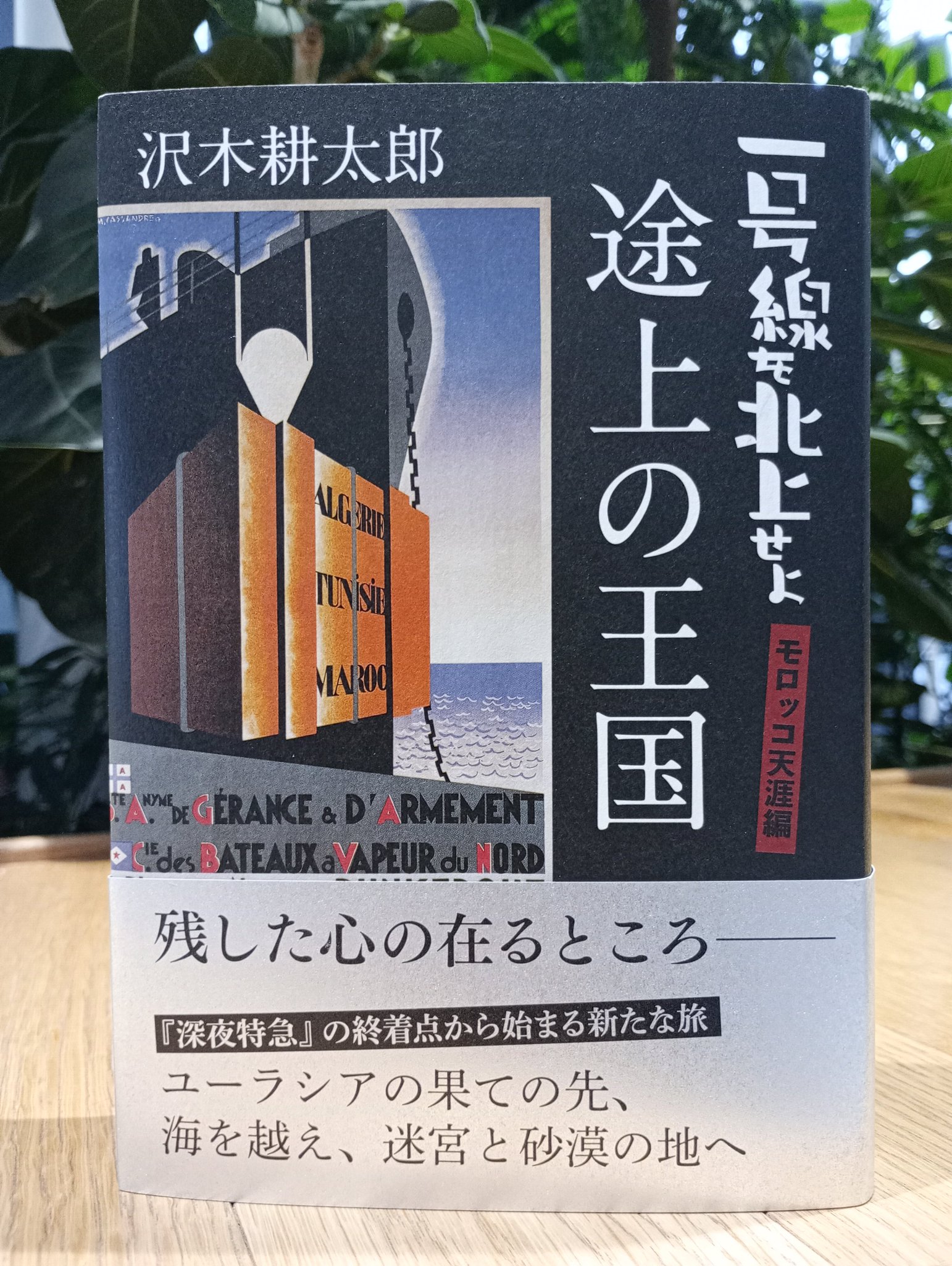 さざんかQ on X: 
