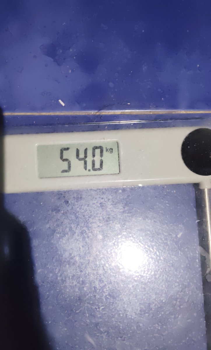 fattershycry's tweet photo. But othing matters anymore:
Starting W 57kg 🍡 Actual W 54kg

Actual mesurements
🍡Waist 64cm
🍡Bust 84cm
🍡 Hip 89 cm
🍡Thigh 50 cm
🍡Body  20%
🍡BMI 20'8pt https://t.co/yw2o41Gjh0
