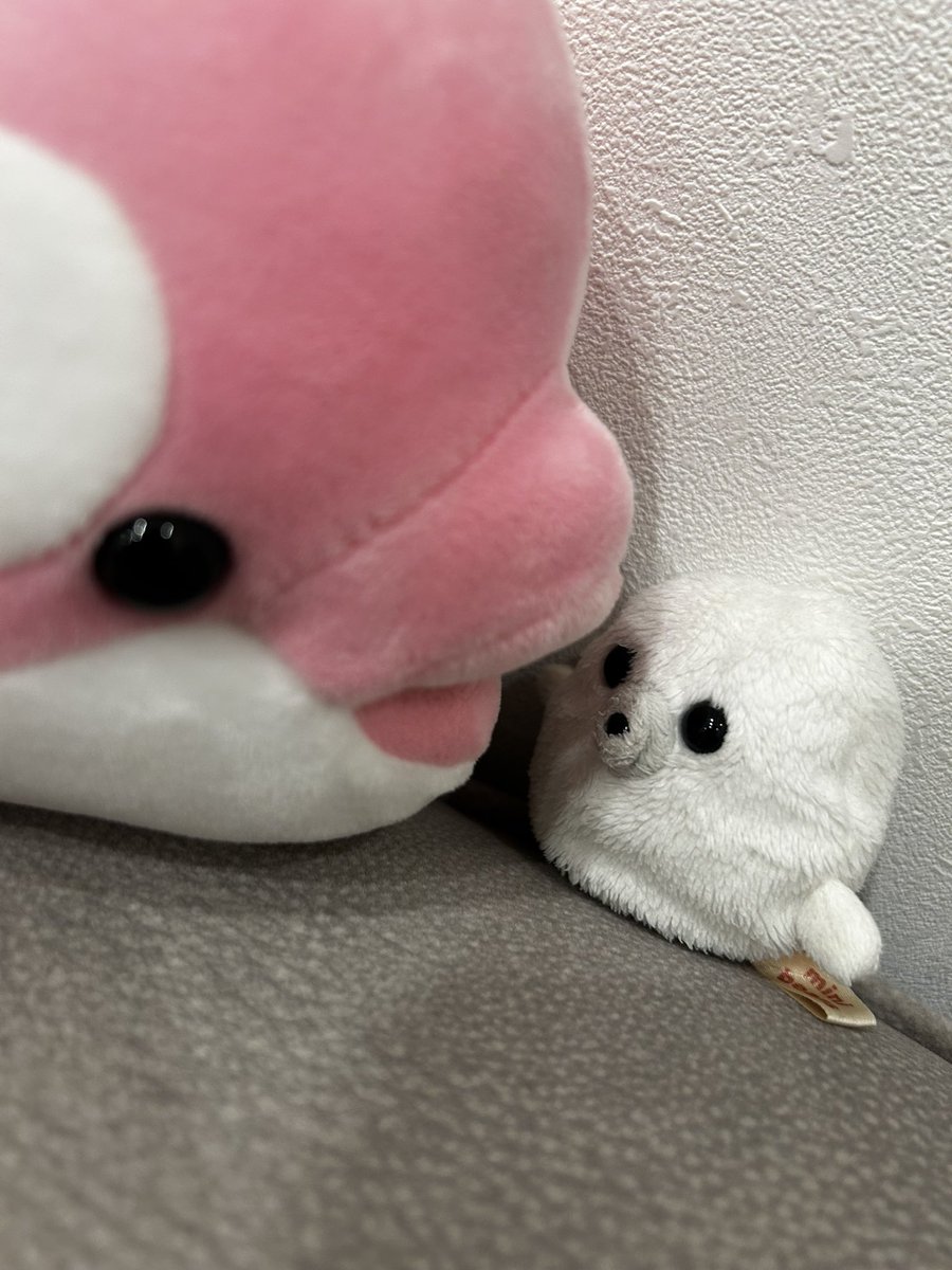 azarashidane's tweet photo. majiでkissする5びょうまえ https://t.co/xaLXqPyXrD
