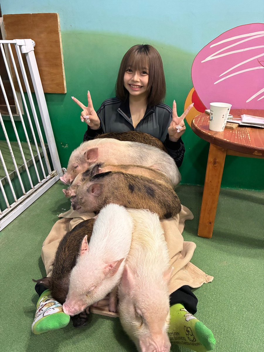 komu116's tweet photo. こむぎﾁｬﾝ146ｾﾝﾁ(成長見込みあり)
モデルになるために頑張ってます՞ ̥_  ̫ _ ̥՞♡

応援よろしくお願いしますm(_ _)m

この写真お気に入りなの…🎶!!
また行きたいなぁ♡

 #ポートレートモデル
 #研修中 https://t.co/TzvyXocAYI