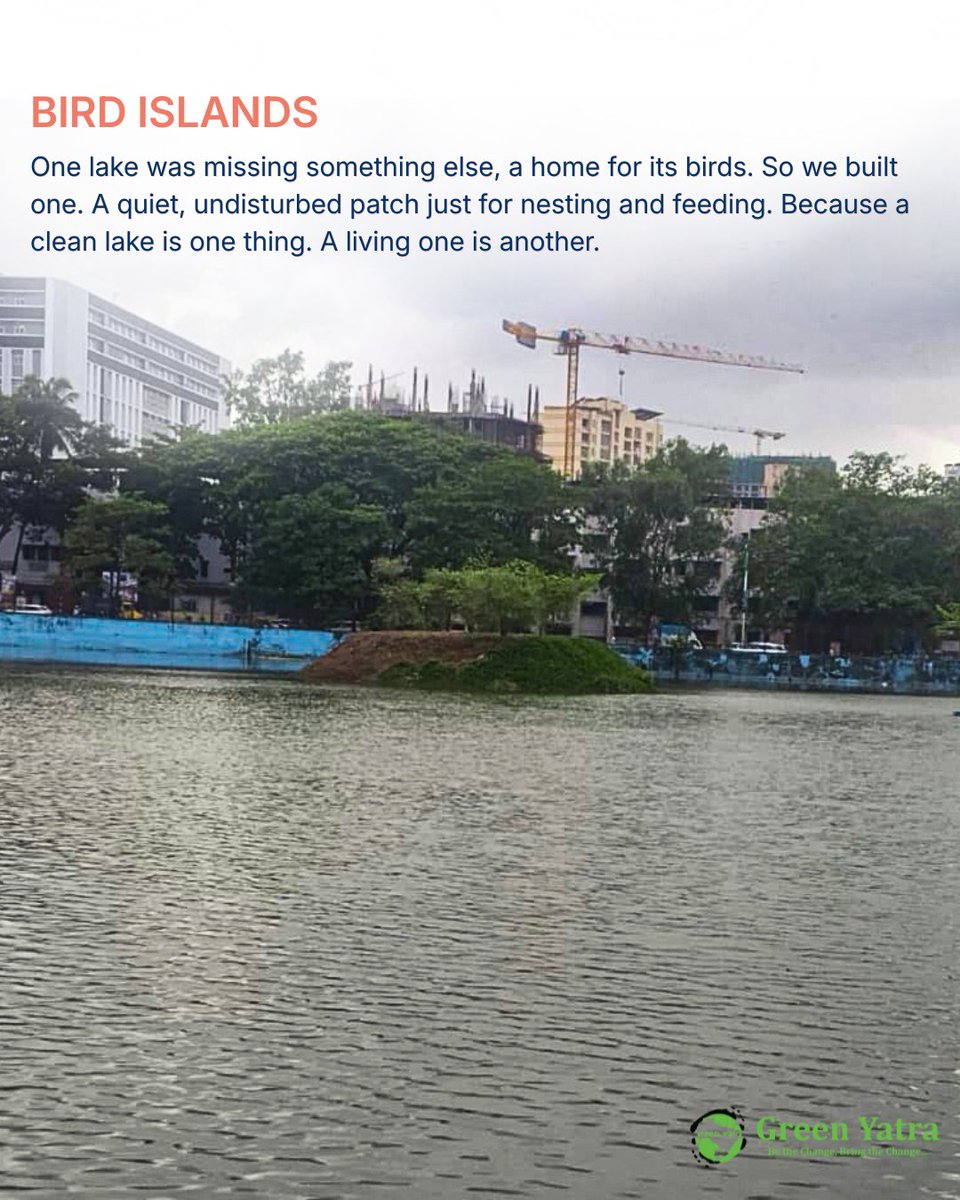 Greenyatra's tweet photo. 305 CRORE + LITRES OF WATER CONSERVATION TELLS A STORY.
A lake rarely comes back to life on its own.
Across Maharashtra and Telangana, Green Yatra's #lakeandpondrestoration projects have shown that reviving a lake means responding to what that specific water body needs, not applying one fixed method everywhere.
A floating island here, a nesting ground for birds there, open space for a community to gather where none existed before.
This World Lake Day, our thriving restored sites are a reminder that restoration is not one fixed formula. It is a response, built lake by lake.
18 years of knowing the difference.
#WorldLakeDay
#GreenYatra
#LakeRestoration