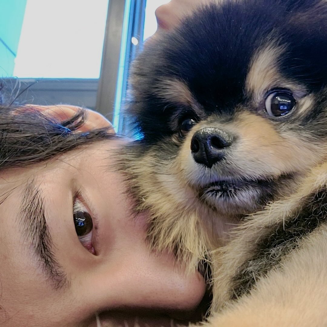 Taehyungimpact's tweet photo. Remember when taehyung put this picture of him and yeontan as his Instagram profile &amp; then changed it to yeontan only 😭🥹 https://t.co/aWlbGeWKHY