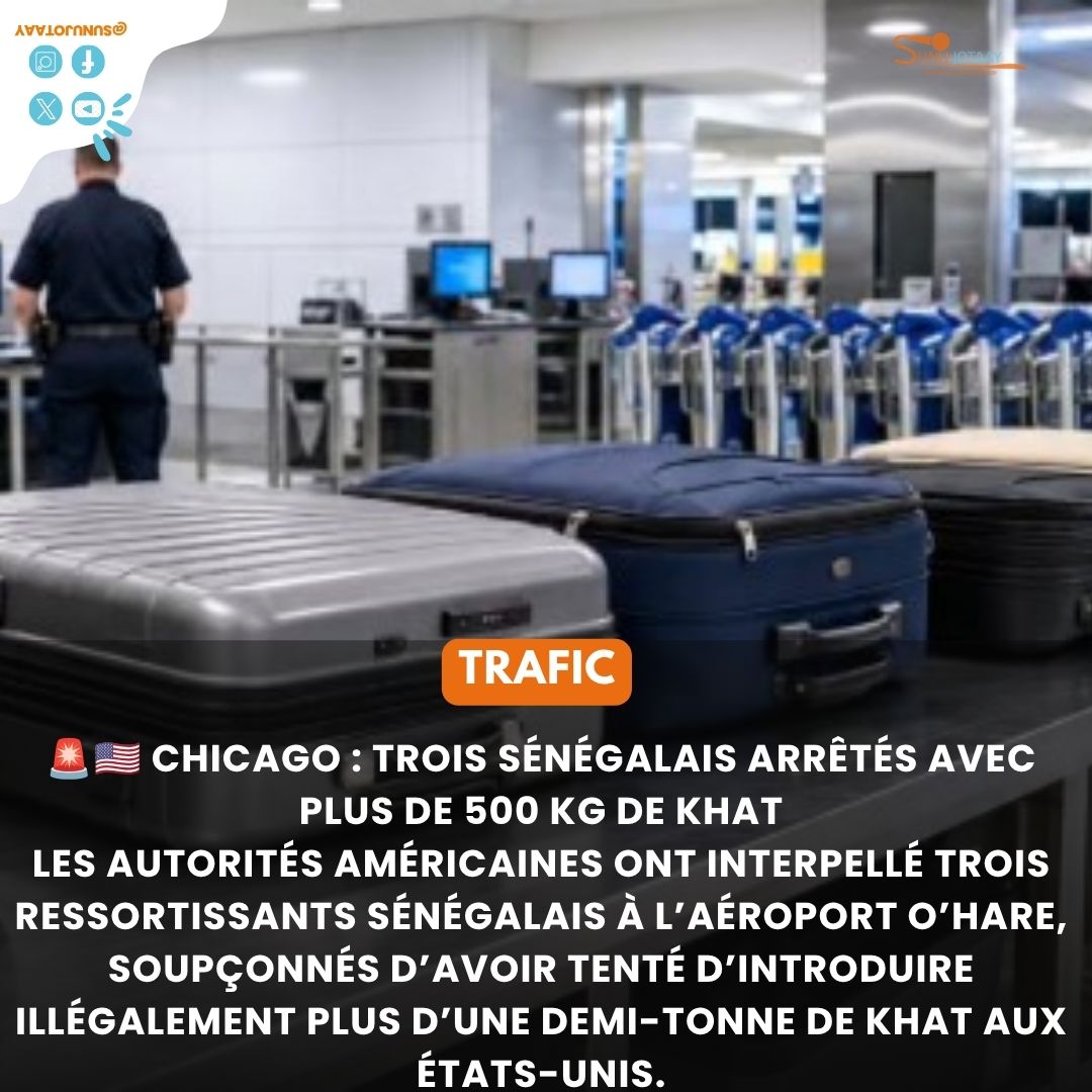 sunujotaay48281's tweet photo. #Senegal #Sénégal #Chicago #Khat #USA #EtatsUnis #Douane #CBP #Aéroport #Trafic #FaitsDivers #Justice #ActualitéSN #News #BreakingNews #Dakar #Afrique #Africa #Sécurité #International #Amérique #Trending #Viral @followers @alaune @toutlemonde #kebetu #freesenegal #trafic https://t.co/g7rUhnCZWj
