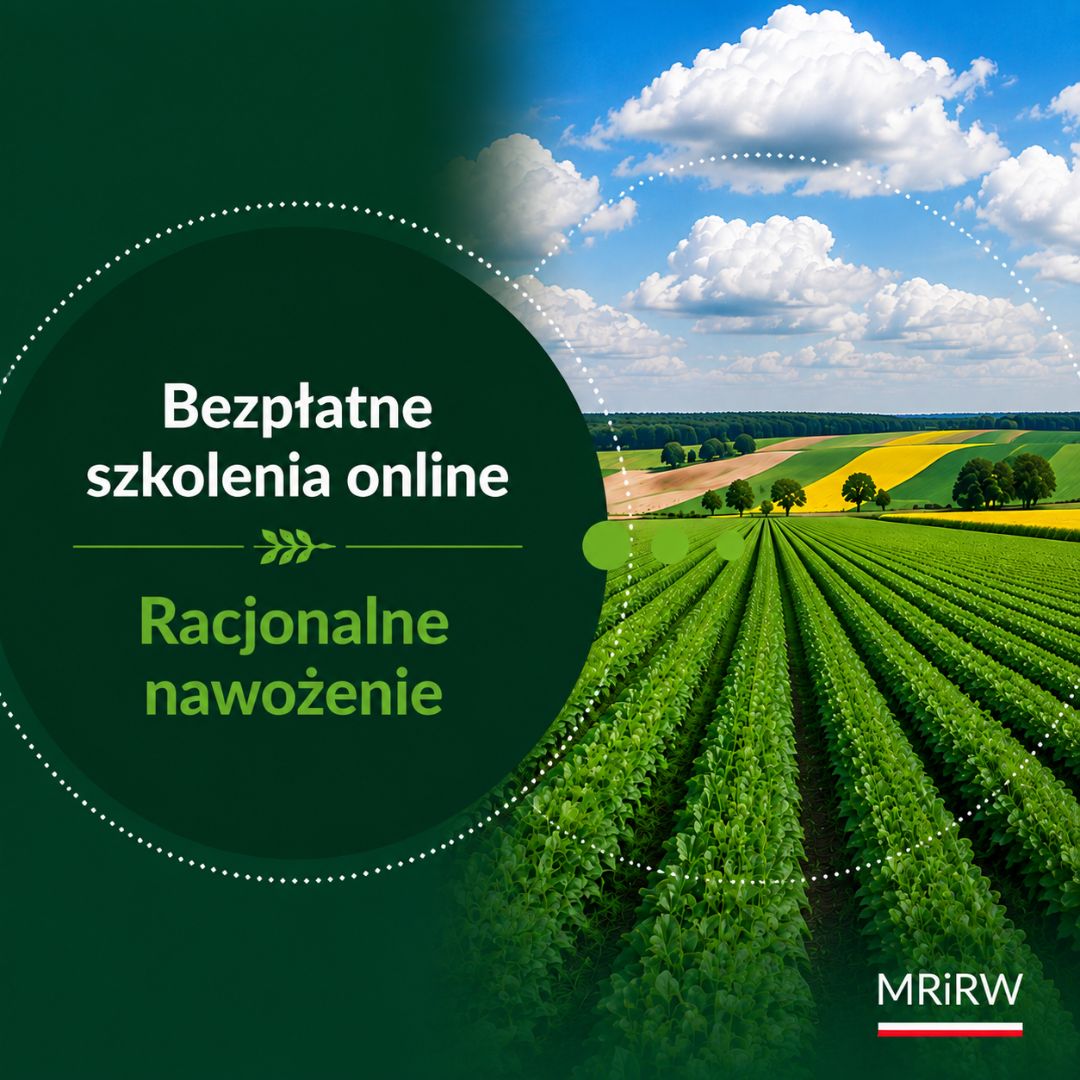 MRiRW_GOV_PL's tweet photo. 🌱 Bezpłatne szkolenia online z racjonalnego nawożenia

Na początku września Instytut Uprawy Nawożenia i Gleboznawstwa – PIB wznawia bezpłatne szkolenia online z racjonalnego nawożenia.

📅 Najbliższe szkolenia:
➡️ 2 września – województwo łódzkie
➡️ 3 września – województwo małopolskie
➡️ 4 września – województwo mazowieckie

👨‍🌾 Szkolenia są skierowane do rolników oraz pracowników instytucji działających w sektorze rolnym, https://t.co/HxTH3I11lW. ośrodków doradztwa rolniczego i stacji chemiczno-rolniczych.

💻 Szkolenia są bezpłatne i odbywają się online.

Dowiedz się więcej ➡ https://t.co/8bWdJ96D2k

ℹ️ Aktualne terminy, linki do spotkań oraz informacje o szkoleniach dla kolejnych województw są publikowane na stronie IUNG-PIB.

#Rolnictwo #Rolnicy #Nawożenie #Szkolenia #IUNGPIB #MRiRW