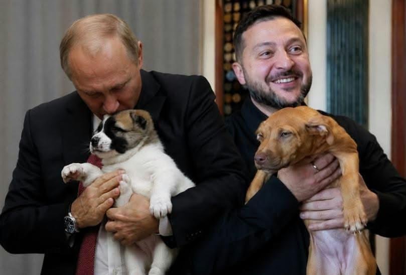 Od1nUa's tweet photo. – Дай списати домашку
– Тільки не списуй один в один, щоб не спалили
– Ок https://t.co/4YEfn4uDWs