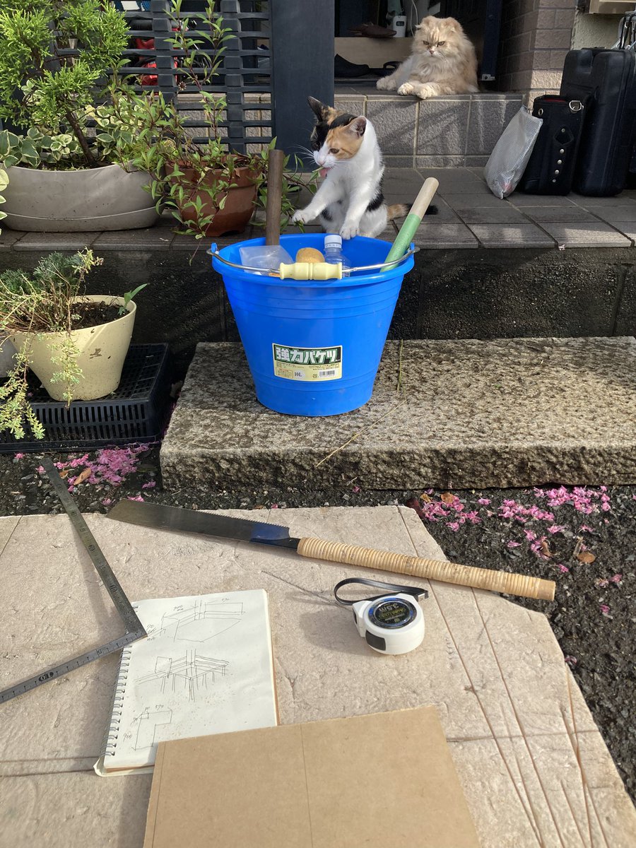 wongroman's tweet photo. 若干物議を醸した動画(再アップ)と善後策。
ネコは不要なリスクは取らない。
安定した場所を作ってやれば自ずと不安定(滑るアルミの手すり)なところを避ける。
「ネコの安全のためにベランダに出すな」みたいな意見もあったが、正解はネコの自由を奪うでは無い。
と自分は考えている。 https://t.co/XYS30zRAFT