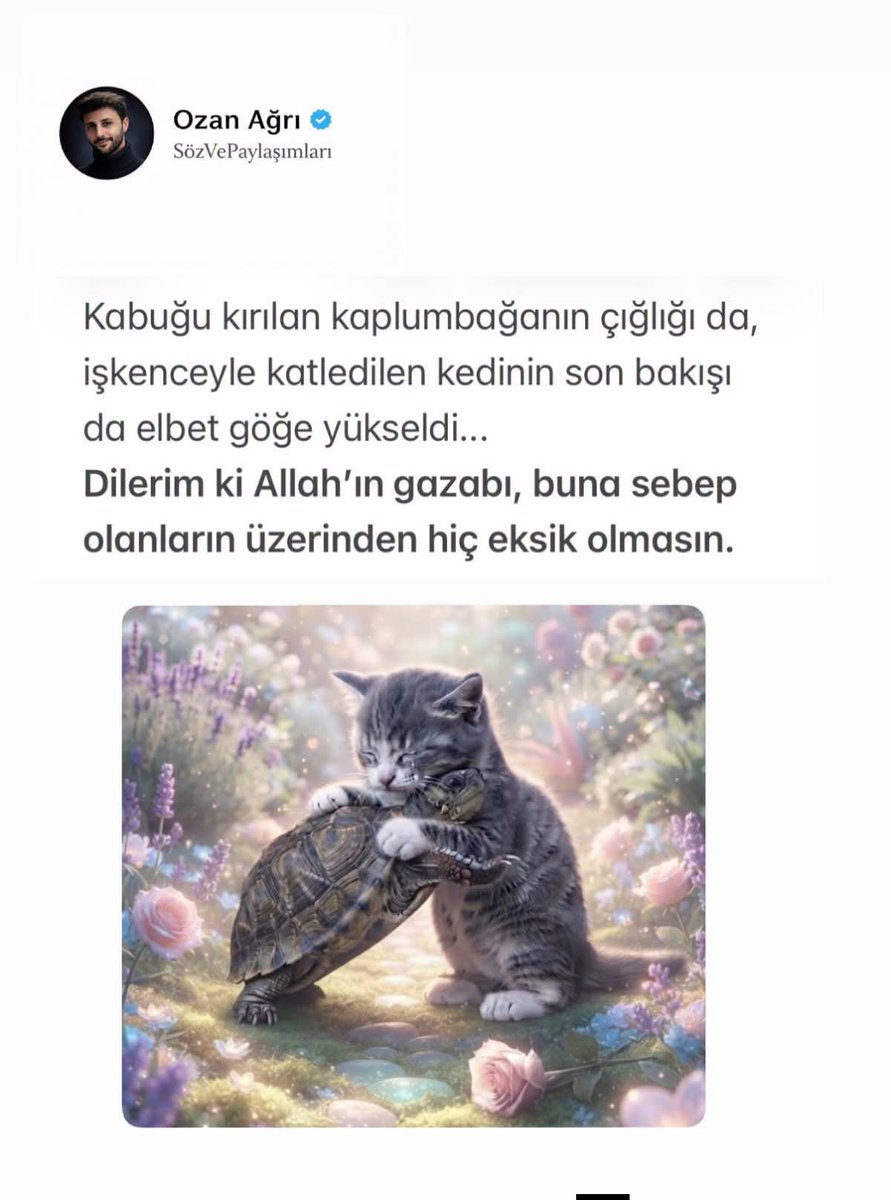 Asi2026T's tweet photo. #KaplumbağayaKediyeAdalet https://t.co/ODFtB8I46R