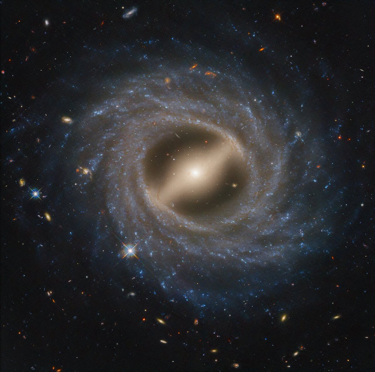 HUBBLE_space's tweet photo. Our #HubbleTopImage features a barred spiral galaxy!

NGC 5335 is categorized as a flocculent spiral galaxy, with patchy streamers of star formation across its disk. There is a striking lack of well-defined spiral arms that are commonly found among galaxies. 1/2 https://t.co/c37BuizjbF