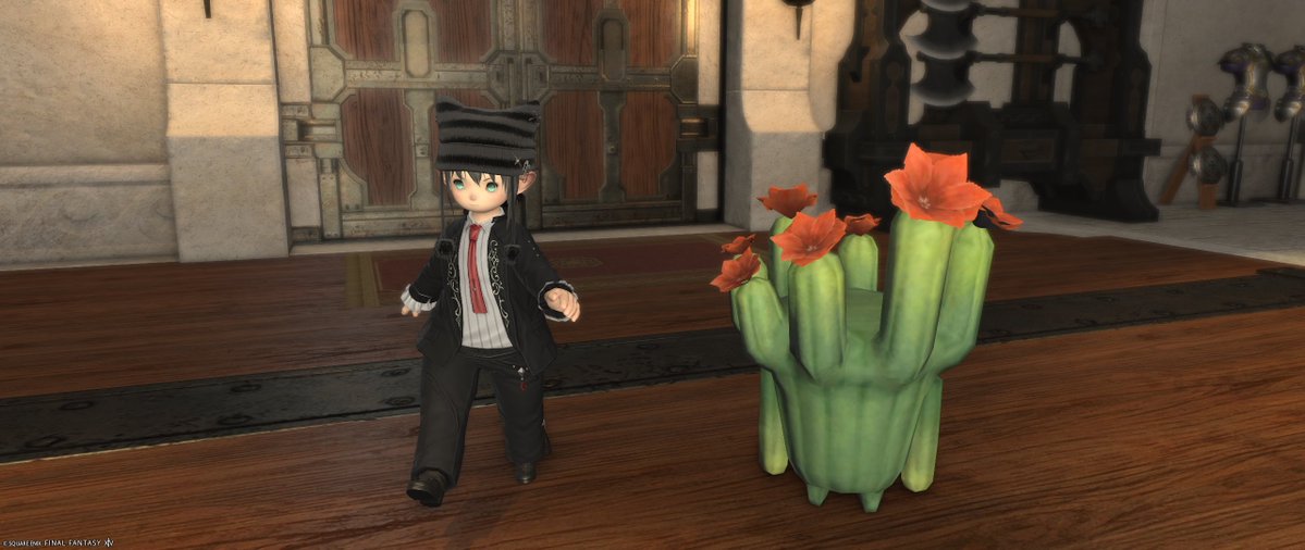 Cactmage tweet picture