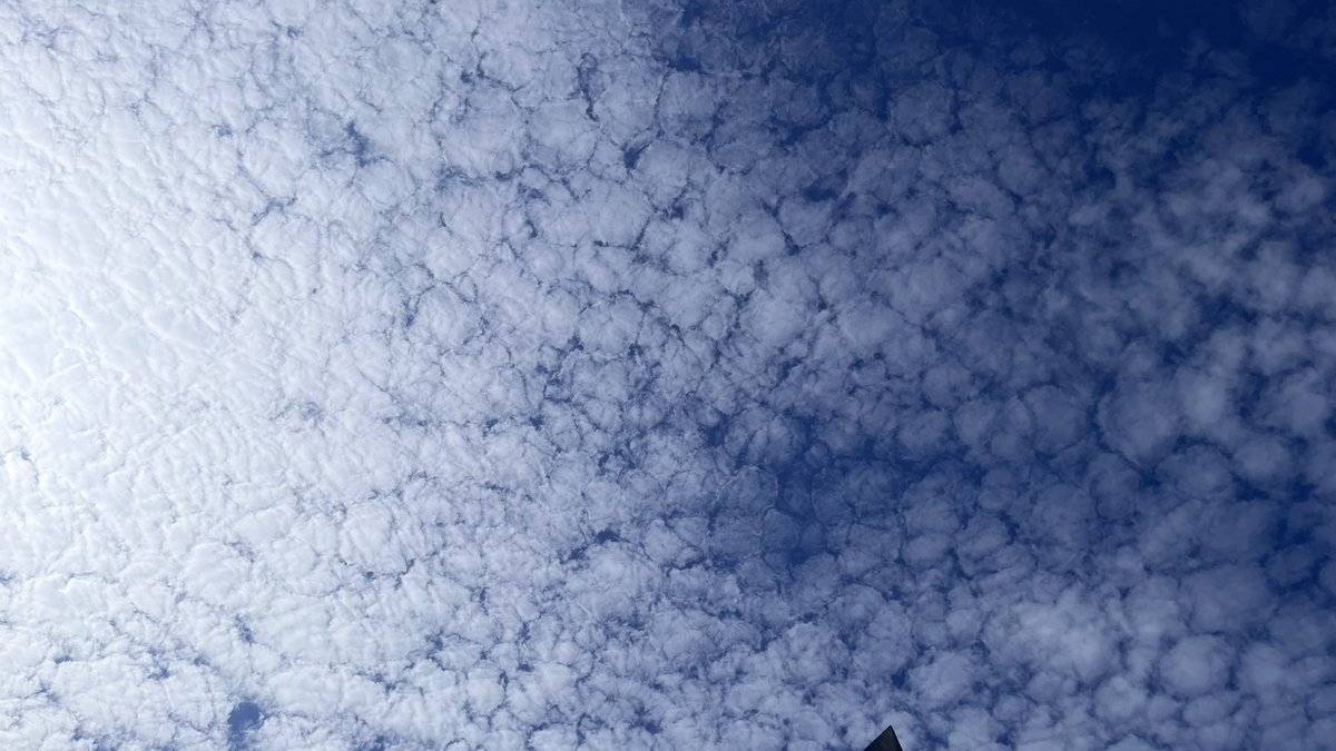 karinamonoyar's tweet photo. 少し早めに仕事を切り上げて駐車場に向かっていると、空には鱗雲がたくさんできていました。ちょっと天気が崩れるのかな？#karinamonoyar #うろこ雲 https://t.co/VHS6n5OixI