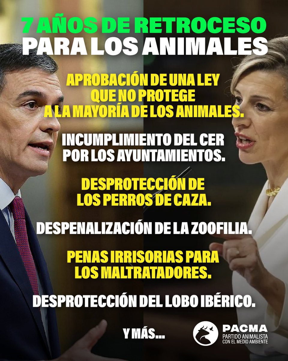 PartidoPACMA's tweet photo. 🐾Siete años de retroceso. Siete años dando la espalda a los animales.

❌El Gobierno de Pedro Sánchez @sanchezcastejon (@PSOE) y Yolanda Díaz @Yolanda_Diaz_ (@sumar) presume de avances cuando en realidad reduce el bienestar animal. La Ley 7/2023 dejó fuera de su ámbito de aplicación a la mayoría de animales de este país: perros utilizados para la caza, pastoreo y actividades específicas, los animales de producción, los de experimentación, los que son objeto de caza, los utilizados en festejos taurinos, etc.

🐱No hacen cumplir a los ayuntamientos el método CER para las colonias felinas.

🐺A esto se suma el retroceso en la protección del lobo y una legislación penal que permite la zoofilia e impone unas penas irrisorias a los maltratadores. PSOE y Sumar podrán vender que son animalistas, pero la realidad demuestra que no lo son, sino que solo ceden ante todos los lobbys que explotan y torturan animales.

💚Los animales necesitan una fuerza política que los defienda sin excepciones. Y somos los únicos que lo harán. Únete a PACMA. https://t.co/aLcYS42Roa

#PACMA #ProtecciónAnimal #DerechosAnimales #StopMaltratoAnimal #ÚneteALaRevoluciónVerde #ÚneteAPACMA