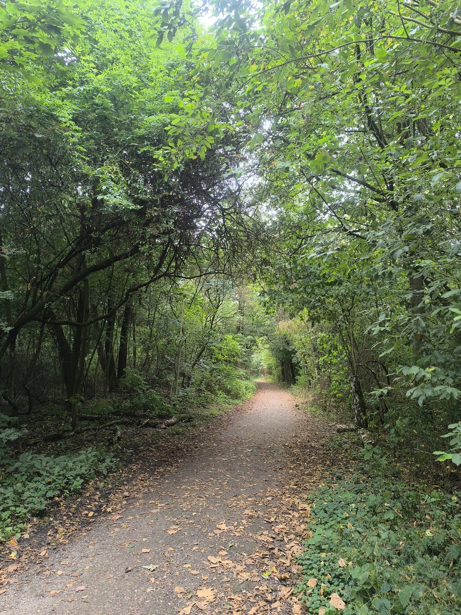 KritouTerra's tweet photo. #stadspark
#runningstories https://t.co/xLn50d1dlY