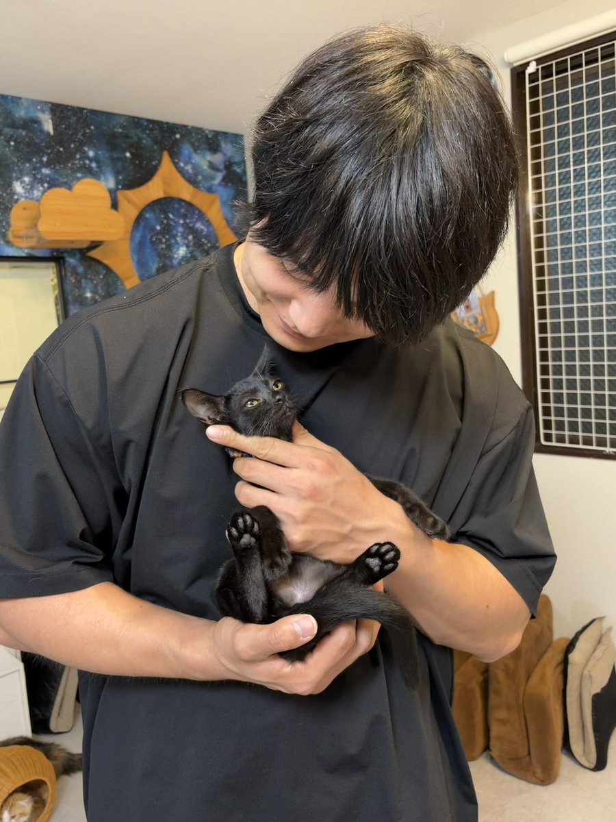 haikeinekosama's tweet photo. #青木マッチョ さん #保護猫交流会
ありがとうございました❣️

何度目かのお客様が
マッチョさんのアドバイスで
猫ちゃんを迎えるステップを進んでいる方がいて、素敵な会になってきています✨

白茶の「概念」君続き、
黒猫に命名いただきました！
「ハレギ」君🤵‍♂️よろしくね！

#拝啓ねこ様 https://t.co/op3xND1Bdh