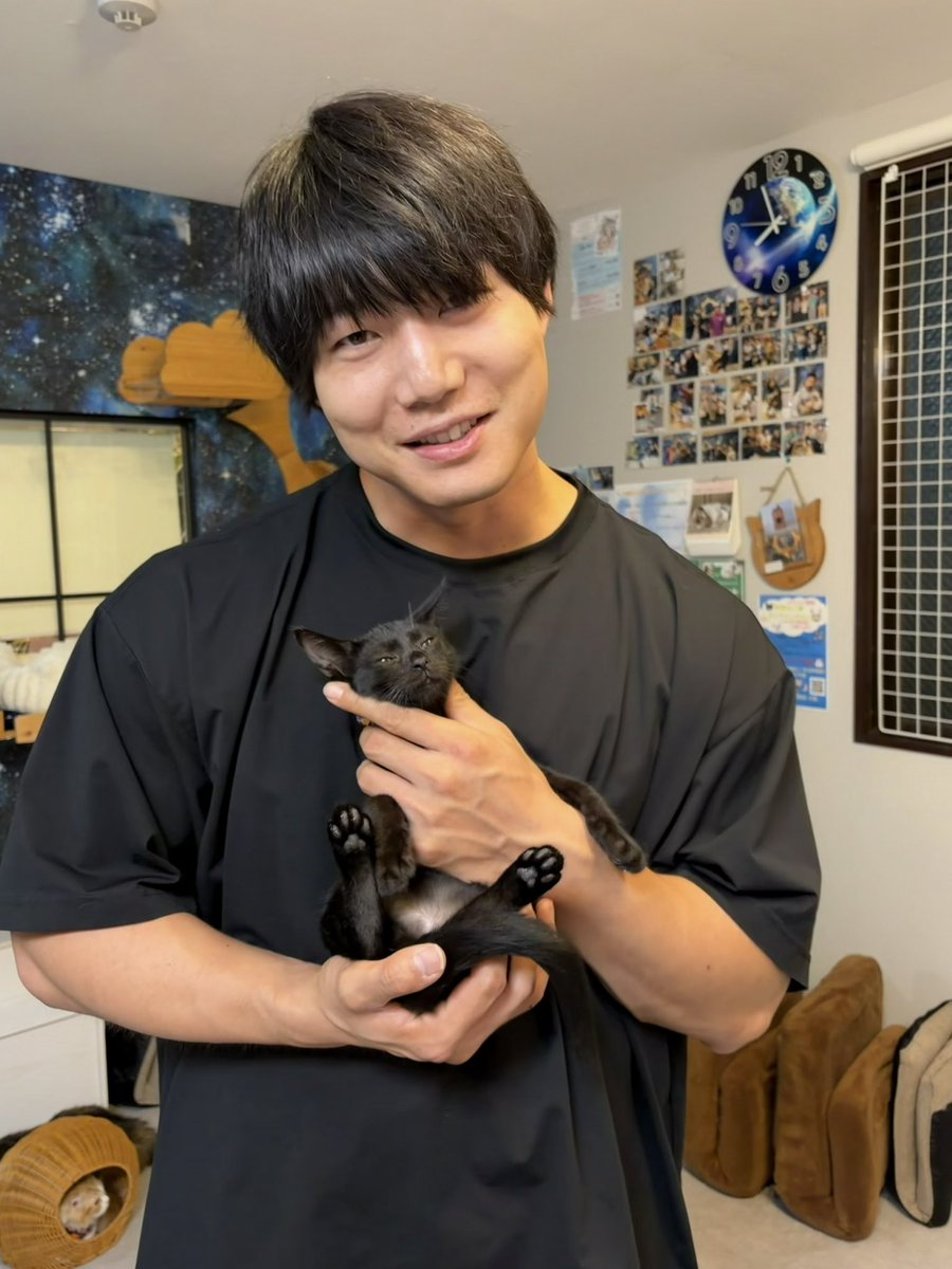 haikeinekosama's tweet photo. #青木マッチョ さん #保護猫交流会
ありがとうございました❣️

何度目かのお客様が
マッチョさんのアドバイスで
猫ちゃんを迎えるステップを進んでいる方がいて、素敵な会になってきています✨

白茶の「概念」君続き、
黒猫に命名いただきました！
「ハレギ」君🤵‍♂️よろしくね！

#拝啓ねこ様 https://t.co/op3xND1Bdh